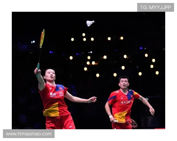 上海羽毛球队总决赛精彩回顾与节奏表现分析