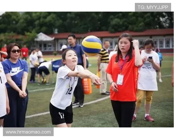 专访陈静：探寻排球辉煌背后的秘密与成功之路