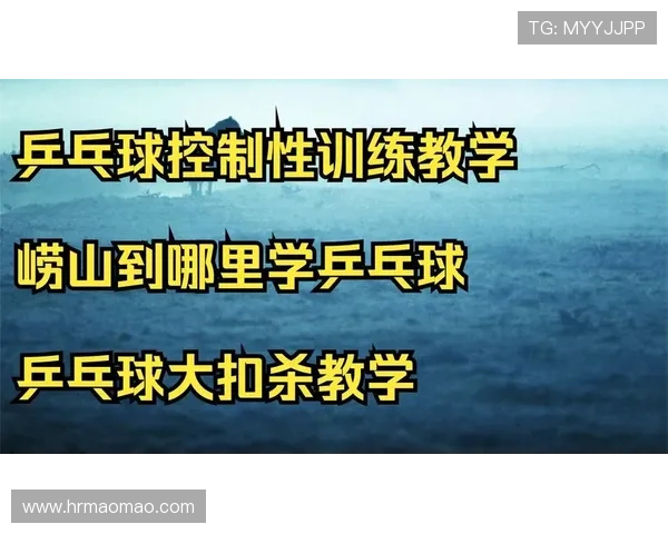乒乓球深度解析：揭秘上海乒乓球队的战术控制与训练秘诀
