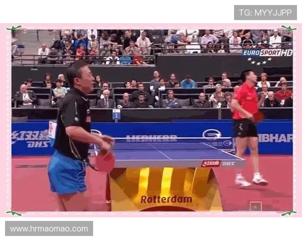 从零基础到高手之路乒乓球全面提升技巧与心态攻略