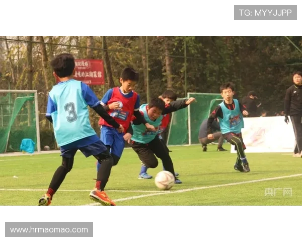 从足球小将到绿茵场上的巨星他们的成长故事与奋斗历程