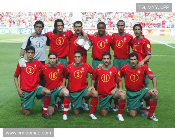 全球足球明星全名汇总及其成就介绍