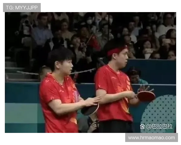 全国锦标赛点评：南京乒乓球队的灵活性表现