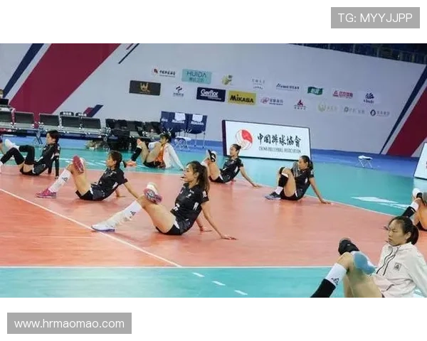 广州排球队技术解析：从基本功到战术运用的全方位剖析