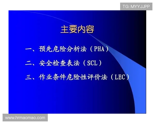 武汉羽毛球队在锦标赛中的技术表现分析与点评