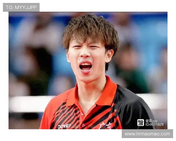 深圳乒乓球队在世界锦标赛中的技术表现分析与点评