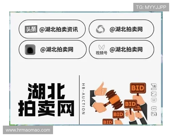 南京乒乓球队防守革新之路探索与实践的深度剖析